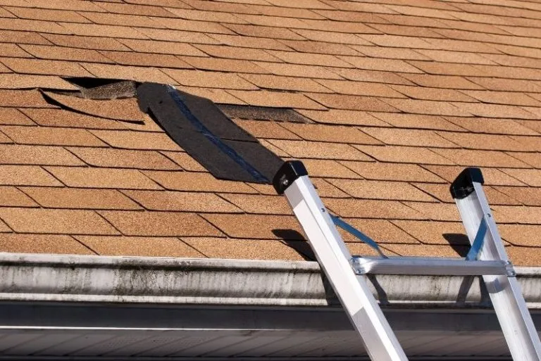 Roof painting service in Toowoomba